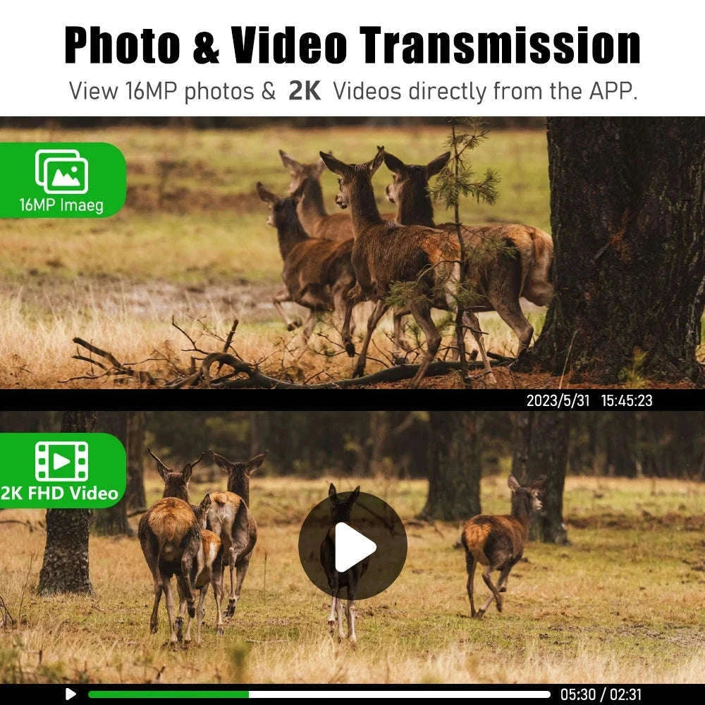 4G Cellular 2K Solar PIR Motion Activated Trail Camera IP66 Night Vision-EU 4G Trail Cam 64G / China Mainland
