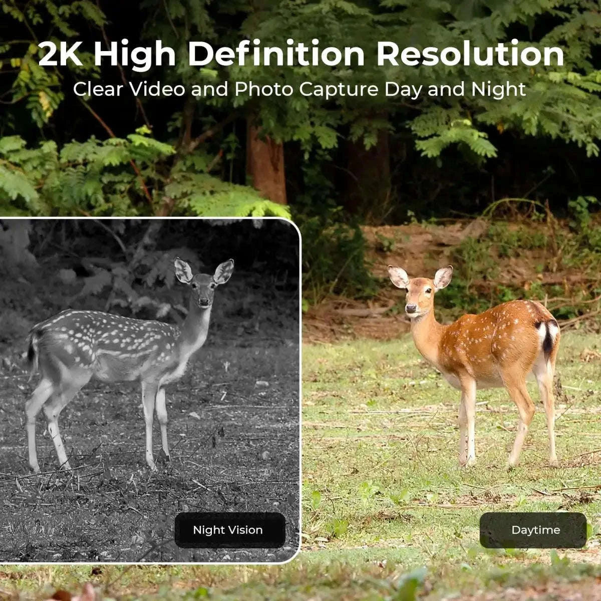 4G Cellular 2K Solar PIR Motion Activated Trail Camera IP66 Night Vision-EU 4G Trail Cam 64G / China Mainland