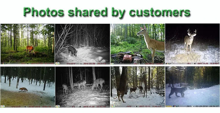 4G Cellular Trail Camera 36MP 1080P Night Vision IP66-Default Title