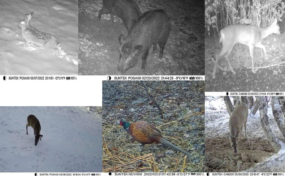 4G Trail Camera with APP Live Video, 4K Recording, 30MP Photos-EU Version