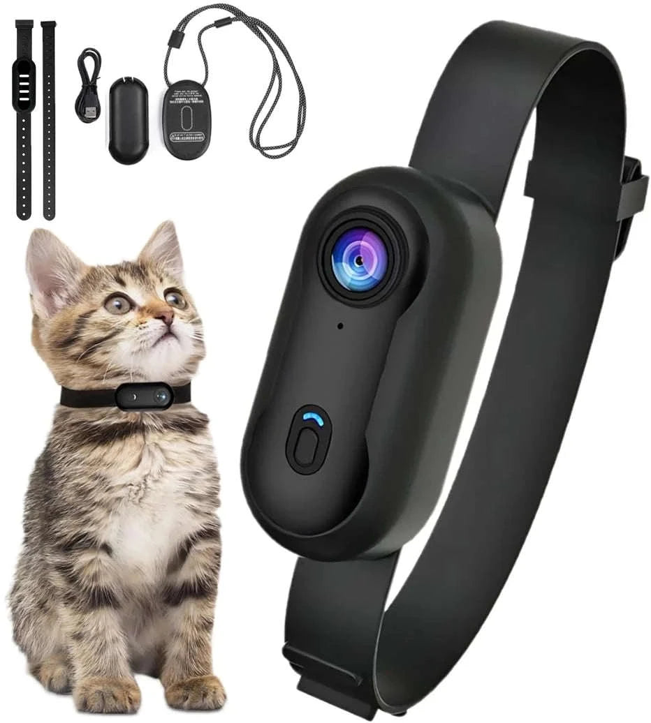 4K HD Mini Pet Collar Camera with Wide‑Angle Lens-UHD Pro 4K (WH-Bas) / With 32G TF Card / China Mainland