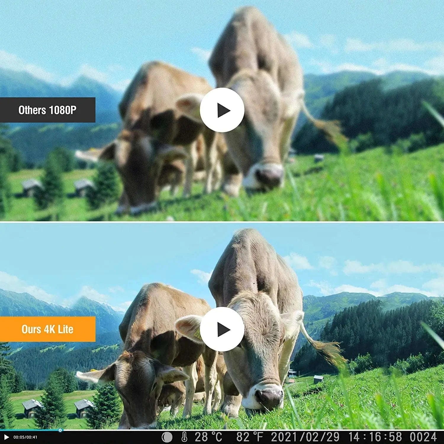 4K Live Stream Camera Hunting Trail Camera-Europe Version