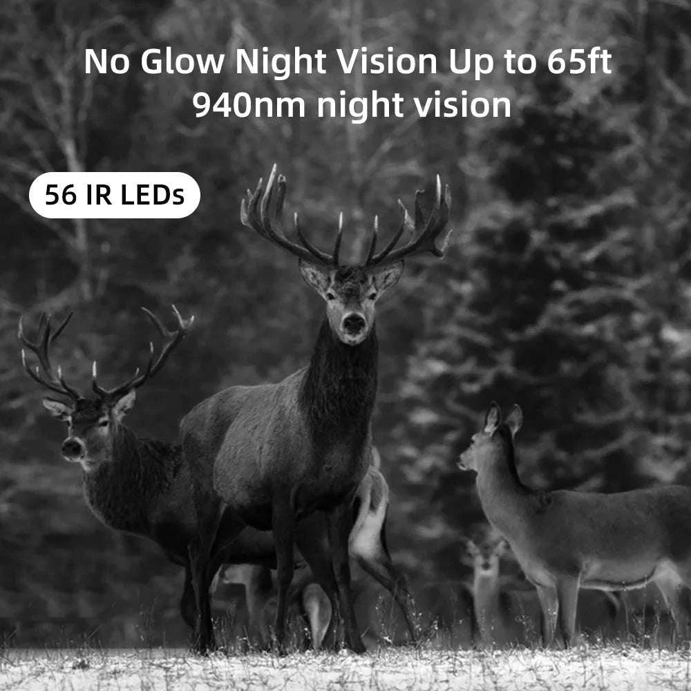 4K Live Stream Camera Hunting Trail Camera-Europe Version