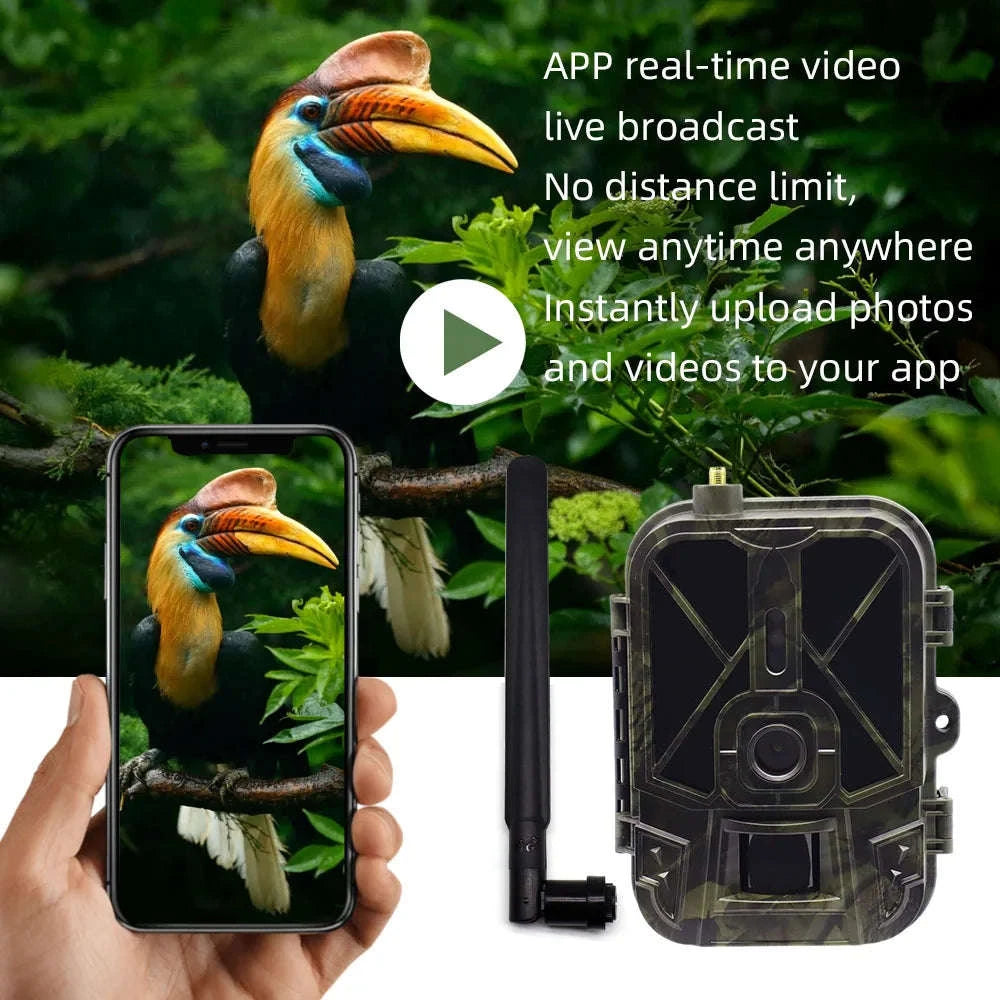 4K Live Stream Camera Hunting Trail Camera-Europe Version