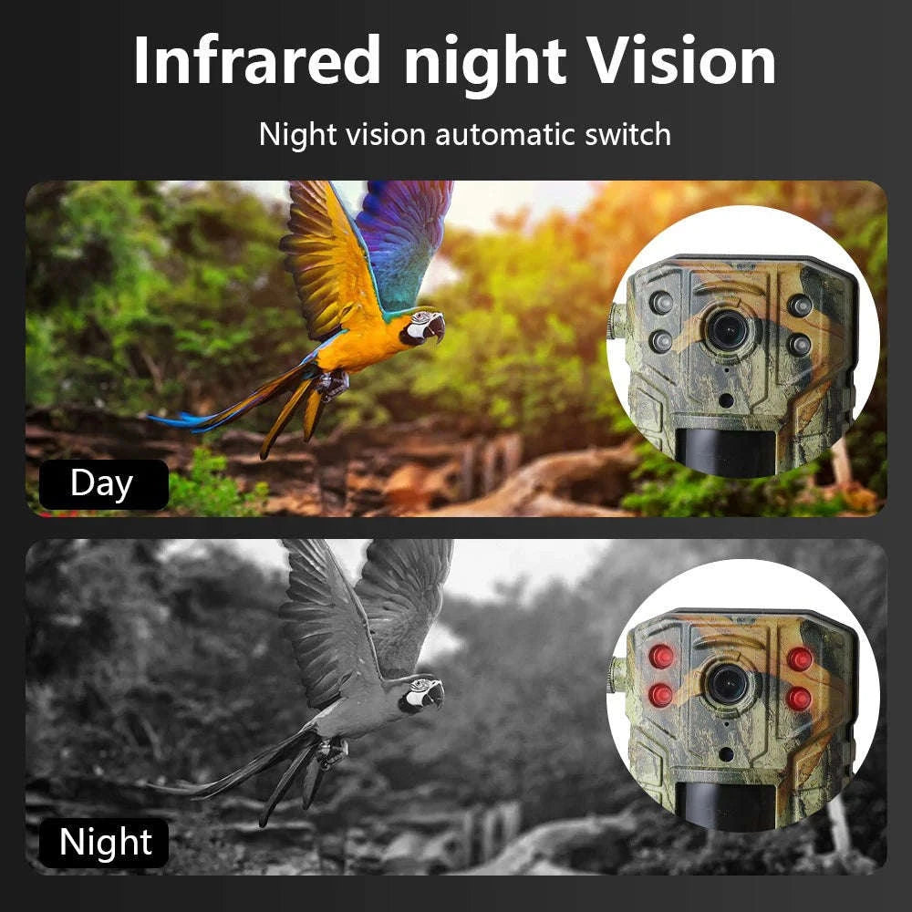 4MP 4G Solar Trail Camera with 20M Motion Detection and 30M Night Vision-4G No Card / spain