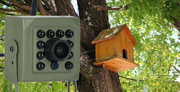 4MP Tuya Smart Bird House Camera with Night Vision-4MP WIFI 5 m line / 1.6mm