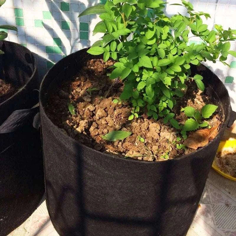 5-Pack Fabric Grow Bags for Vegetables, Flowers & Herbs-30Gallons 60x40cm