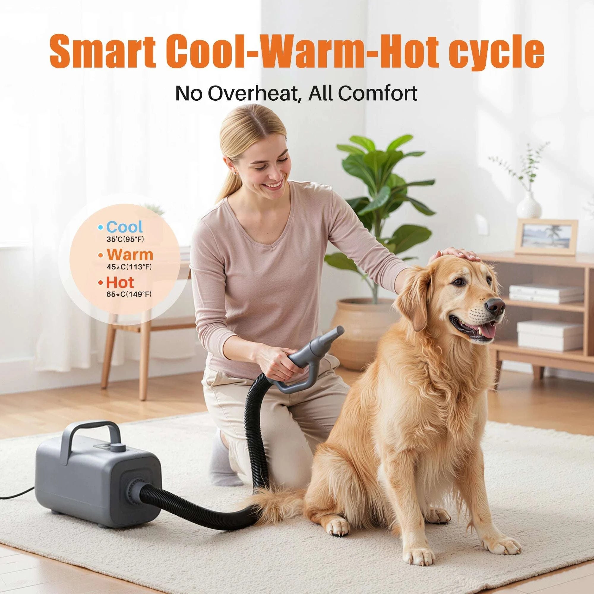 5-Piece Pet Grooming Blow Dryer Vacuum Kit with 4 Nozzles-Gray / United States