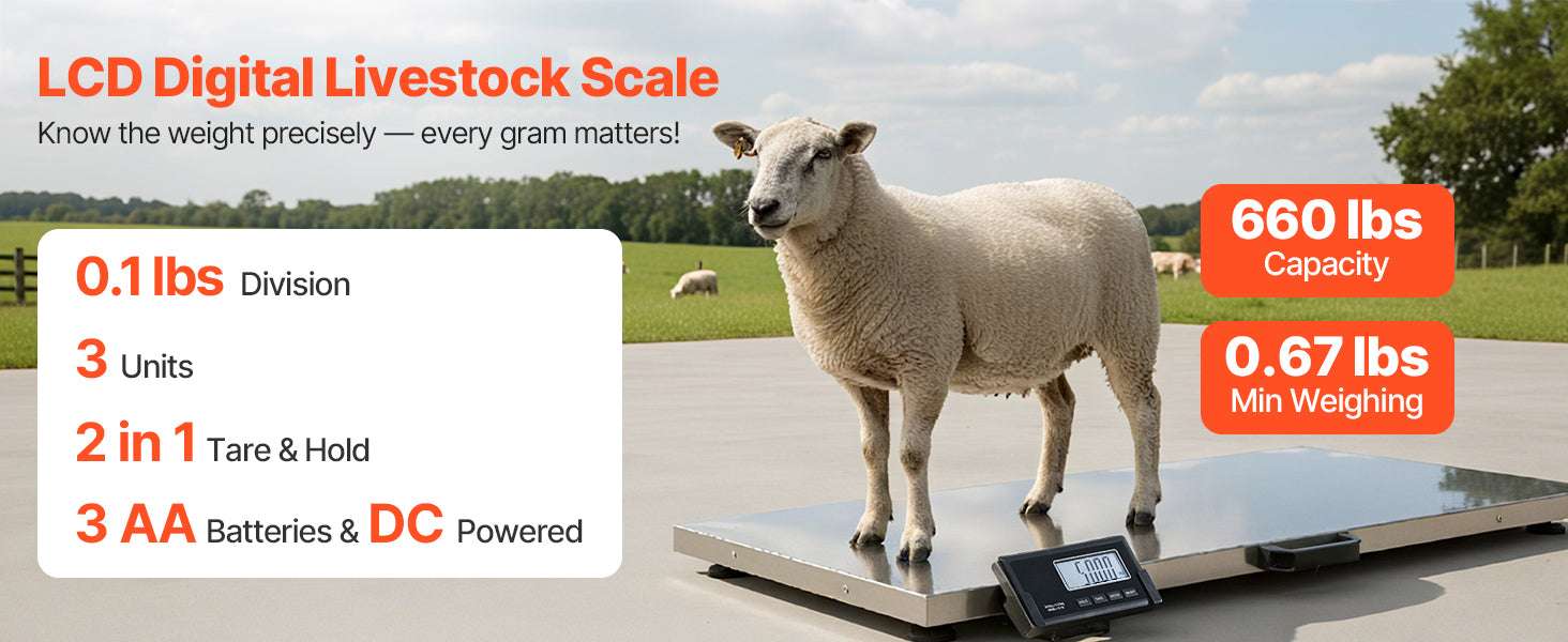 660 lb Digital Shipping Scale with LCD Display & AC/DC Power-660 lbs / United States
