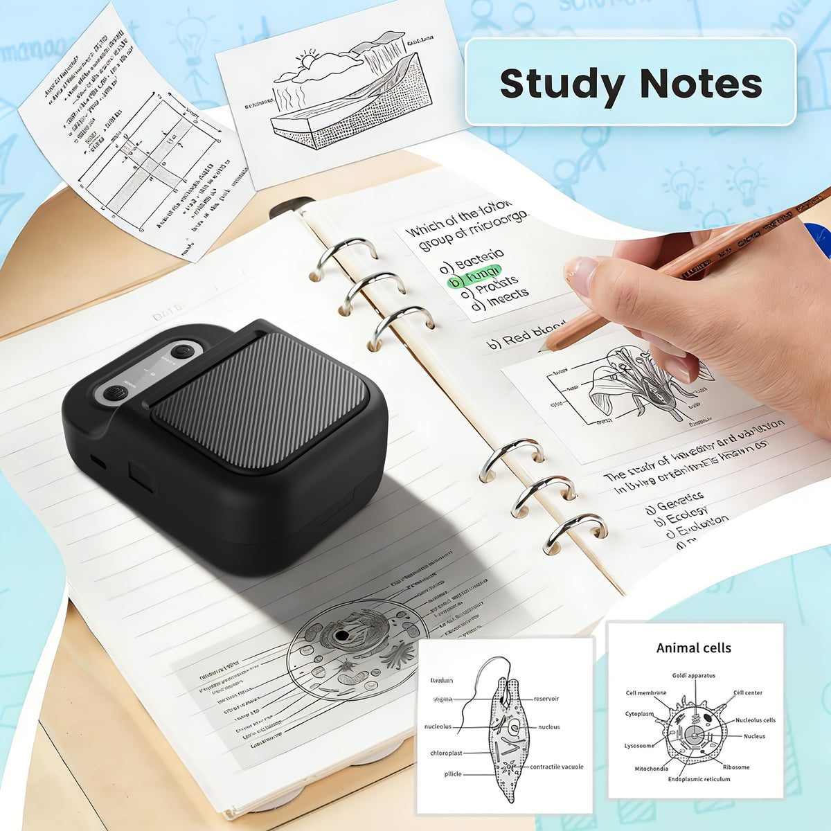 Bluetooth Thermal Label Printer and Paper Options
