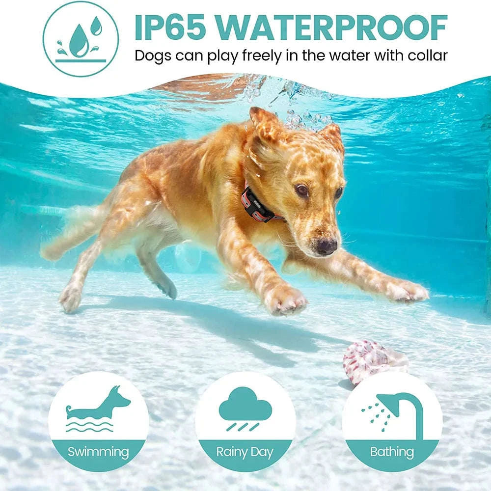 800m Waterproof Dog Training Collar-G / EU Plug