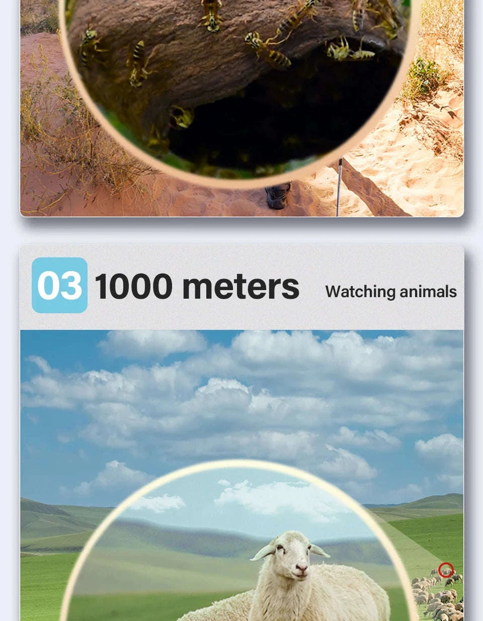 80x100 Monocular Telescope — HD Zoom Long-Range-DDHS-80x100