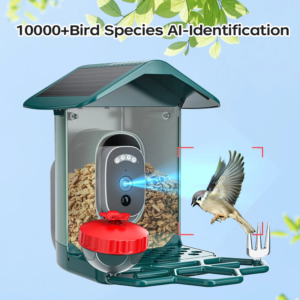 Solar Powered Bird Feeder Camera with 2K Night Vision