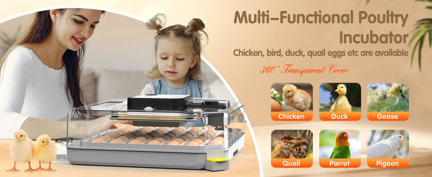 48 Egg Incubator with Auto Temperature & Humidity Control