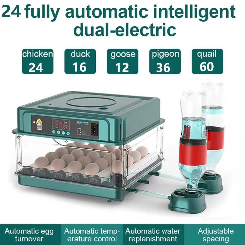 Egg Incubator with Automatic Temperature and Water Replenishment