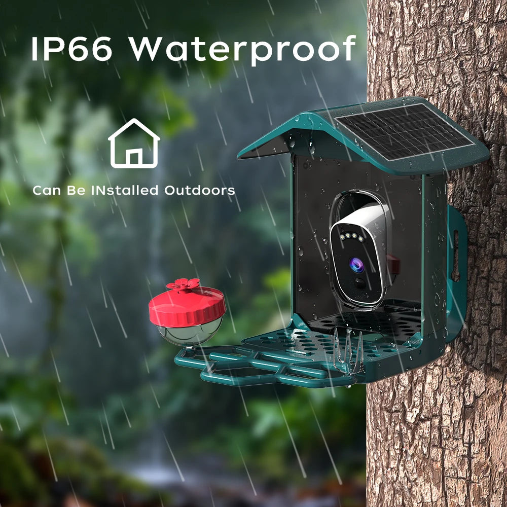 Solar Powered Bird Feeder Camera with 2K Night Vision