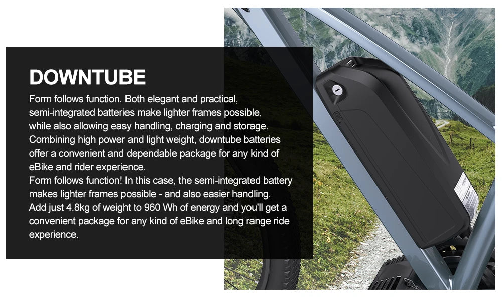 Electric Bicycle Battery Hailong 21700/18650 Pack for Powerful Ebikes