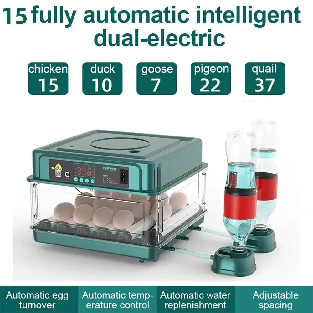 Egg Incubator with Automatic Temperature and Water Replenishment