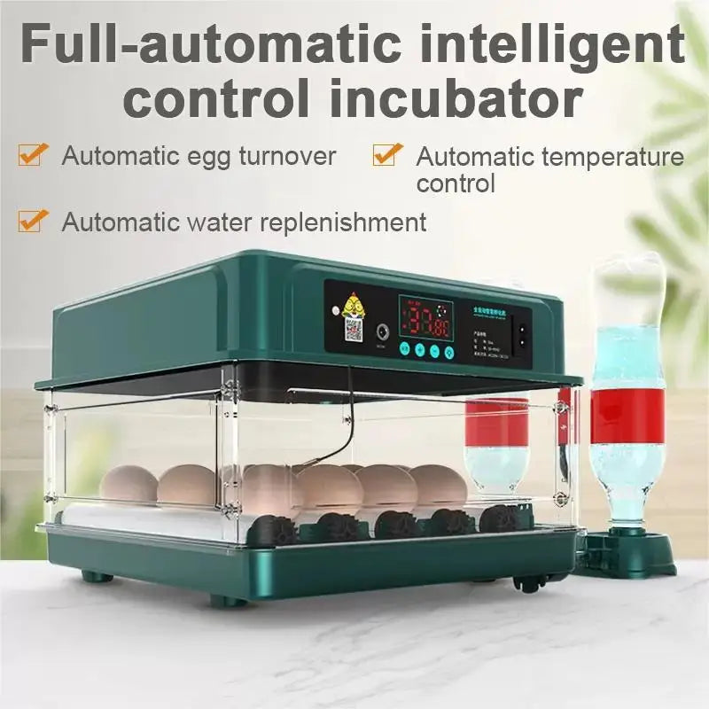 Egg Incubator with Automatic Temperature and Water Replenishment