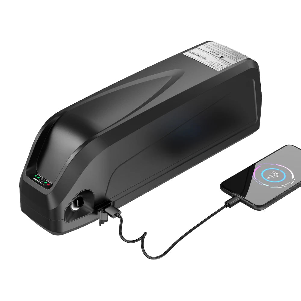 Electric Bicycle Battery Hailong 21700/18650 Pack for Powerful Ebikes