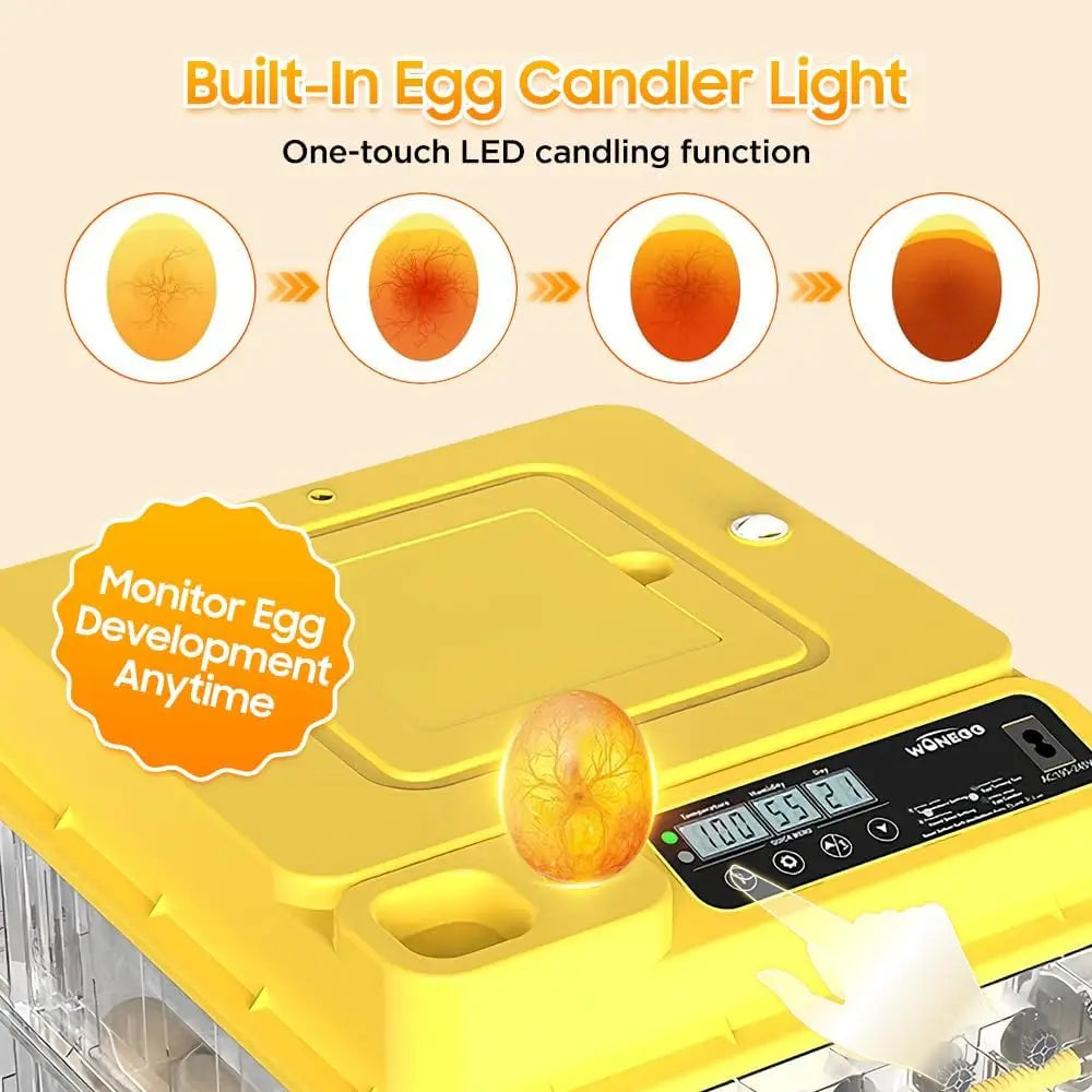 Automatic Egg Incubator 36–216 Capacity with Auto Turning Control