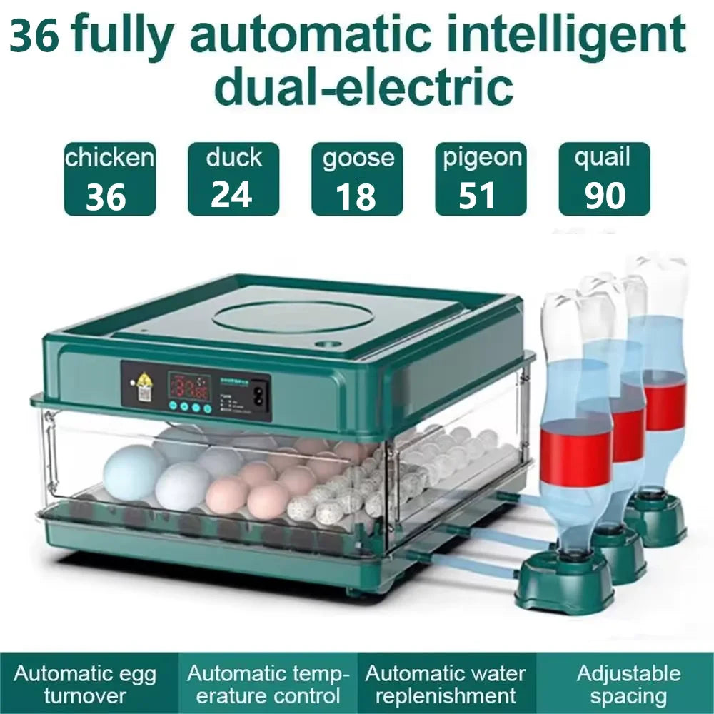 Egg Incubator with Automatic Temperature and Water Replenishment