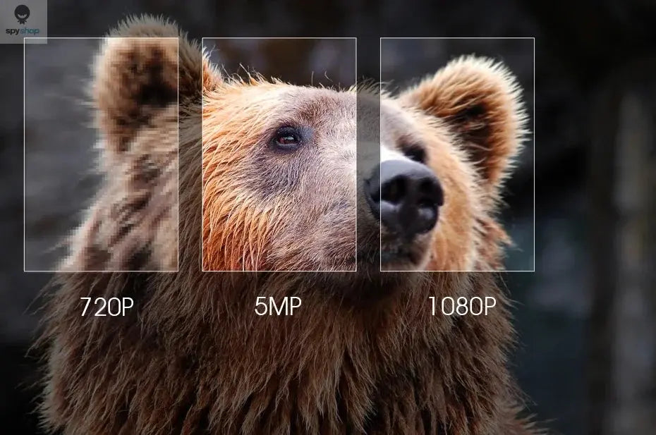 Audio IP POE Mini Camera Detector Cone Lens 5MP 4MP H.265 Full Digital Mic Onvif Cloud Storage Face/Motion Detection XMEYE ICSEE