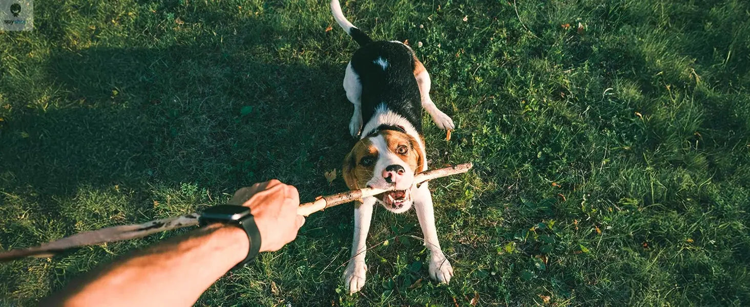 BOBLOV W4 2K Mini Body Camera Wearable 64GB Camera 360°Rotatable Clip & Magnetic Clip 800mAh Battery recording Cam For Outdoors Spy-shop.com