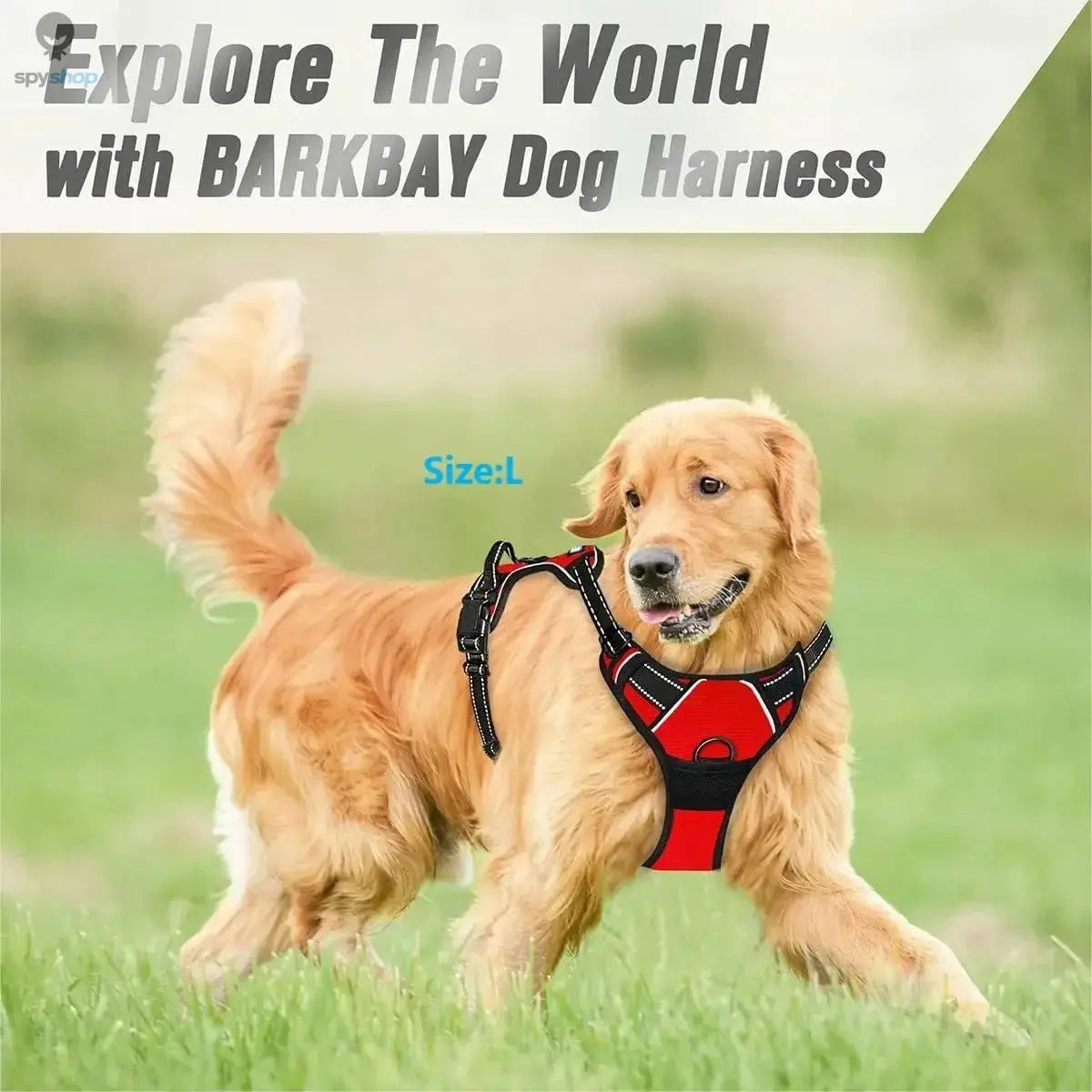 Dog Collars Harness Big Vests Leash Pet Shop Everything for Dogs Leather Puppy Accessories Medium Small Set Spy-shop.com