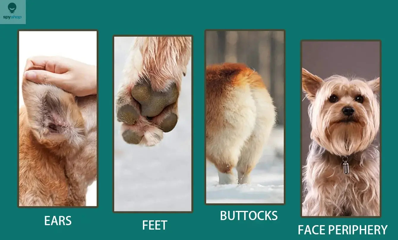 Dog Hair Clippers Grooming Electric Pet Clipper Professional Silent Hair Cutter USB Rechargeable Pet Grooming Clipper Spy-shop.com