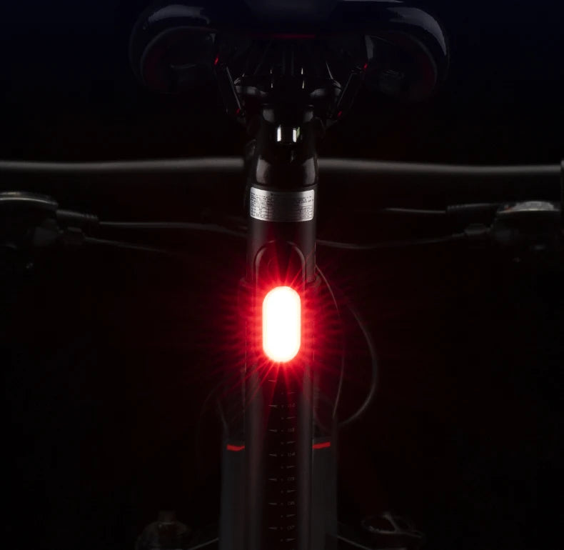 USB Rechargeable Bicycle Rear Light, 5 Modes