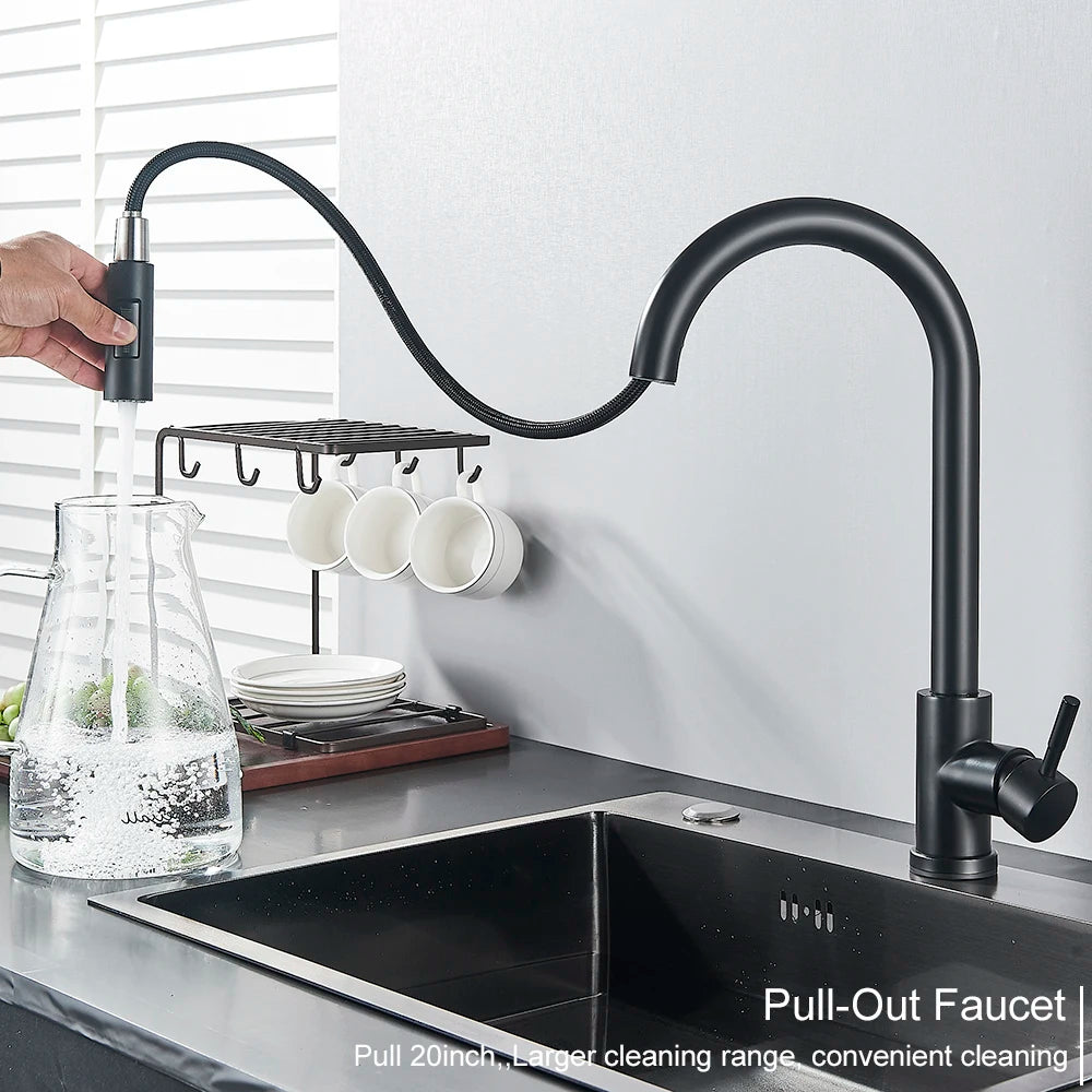 Black Kitchen Faucet with Pull-Out Dual-Function Spray