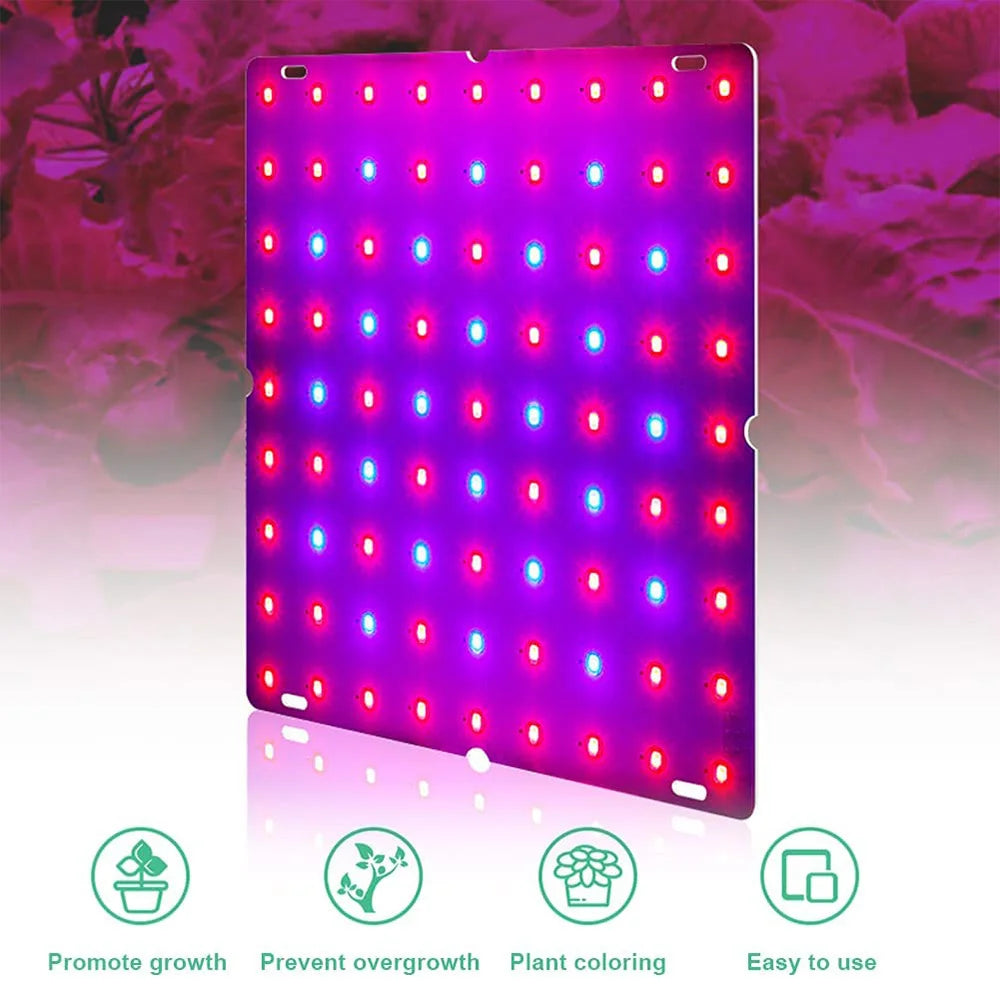 LED Grow-Light Panel, Small/Large Options