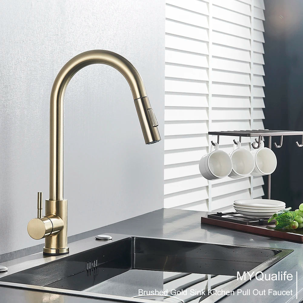 Black Kitchen Faucet with Pull-Out Dual-Function Spray