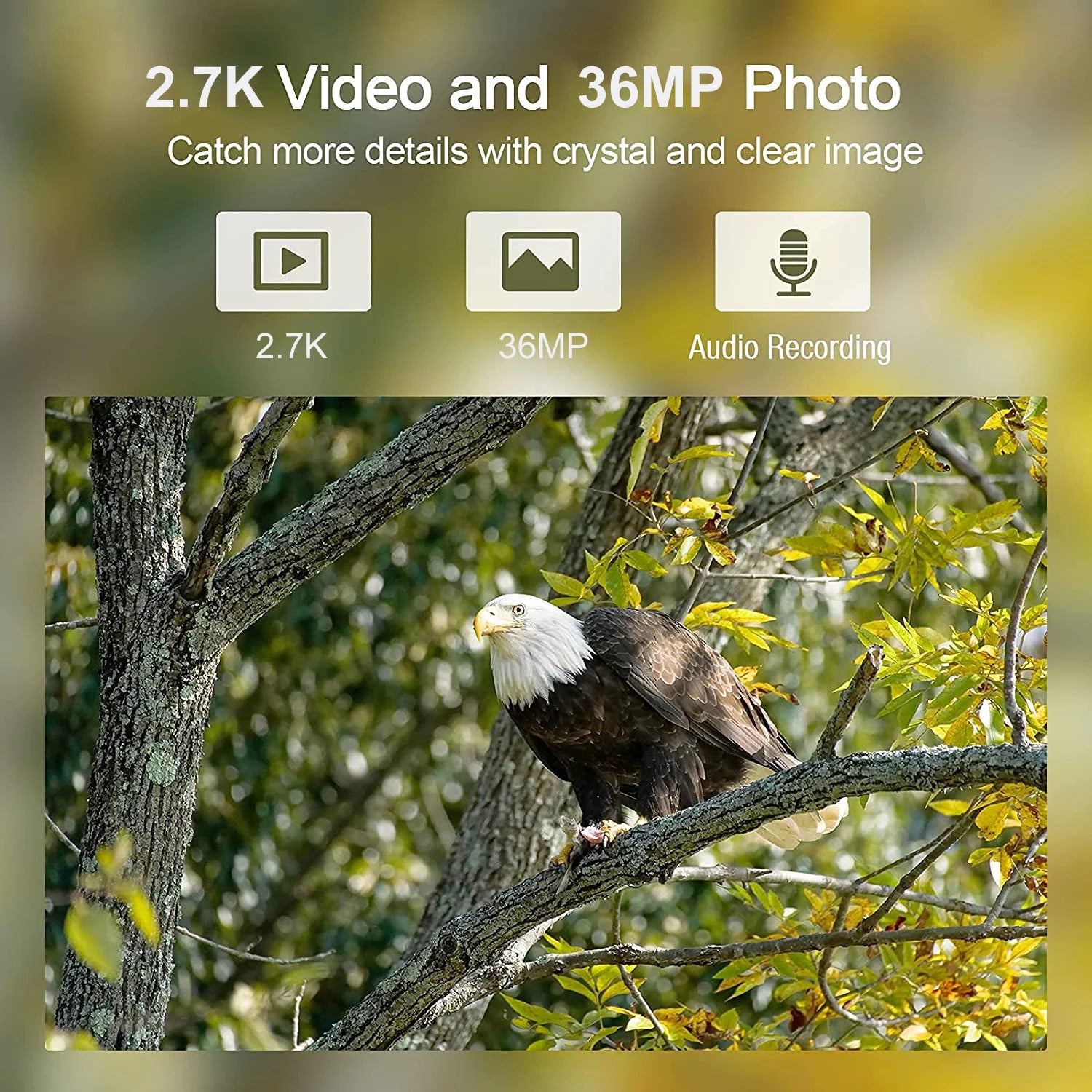 HC900A Trail Hunting Camera with 2.7K Video, 36MP Photos
