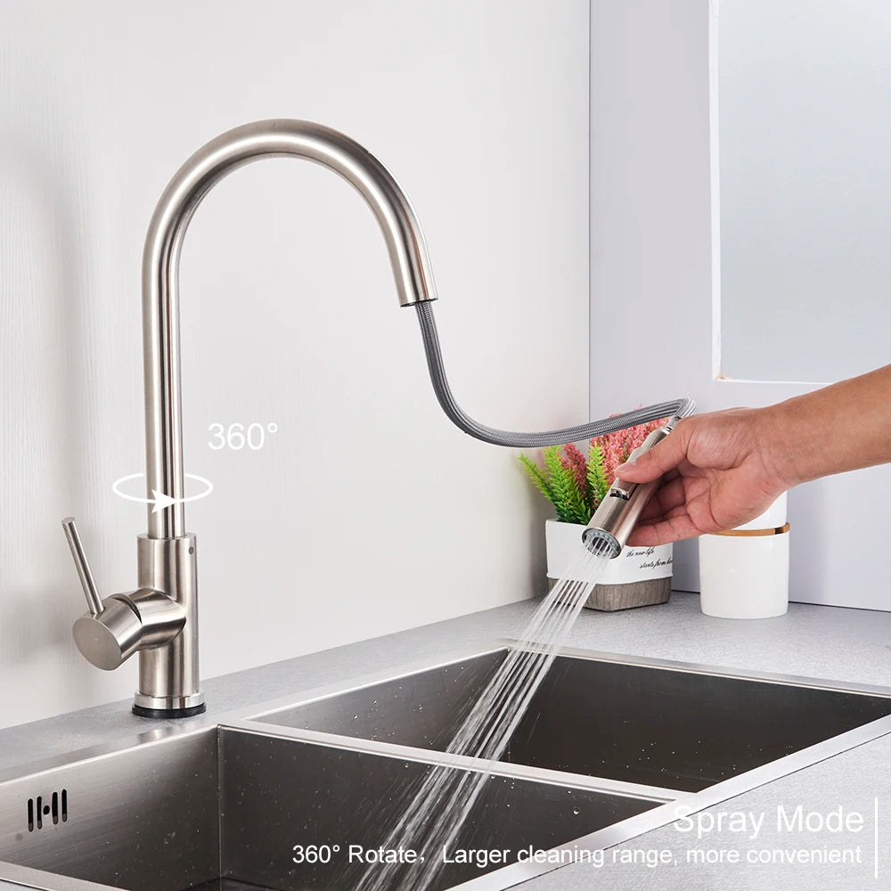 Black Kitchen Faucet with Pull-Out Dual-Function Spray