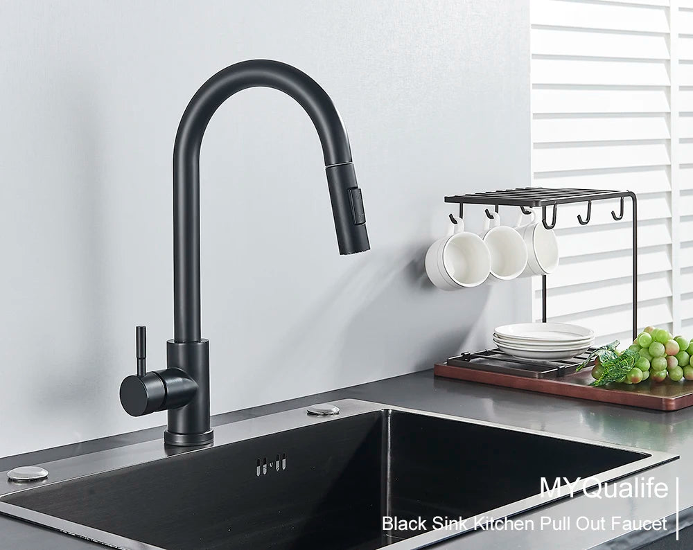Black Kitchen Faucet with Pull-Out Dual-Function Spray