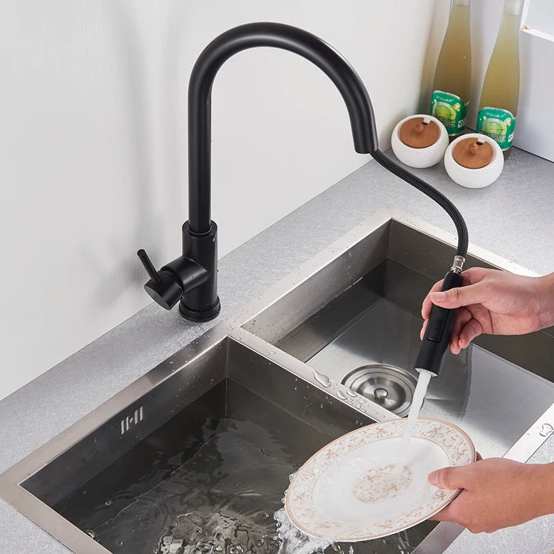 Black Kitchen Faucet with Pull-Out Dual-Function Spray