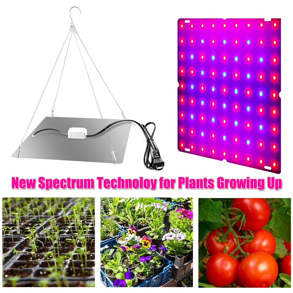 LED Grow-Light Panel, Small/Large Options