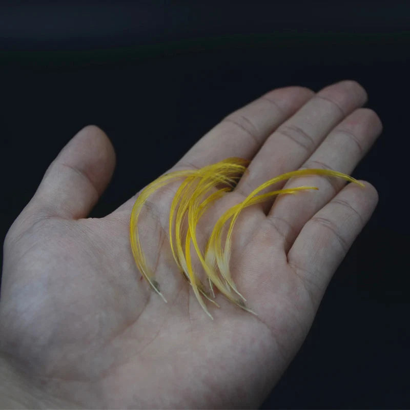 Golden Pheasant Crest Feathers, 50 Pack