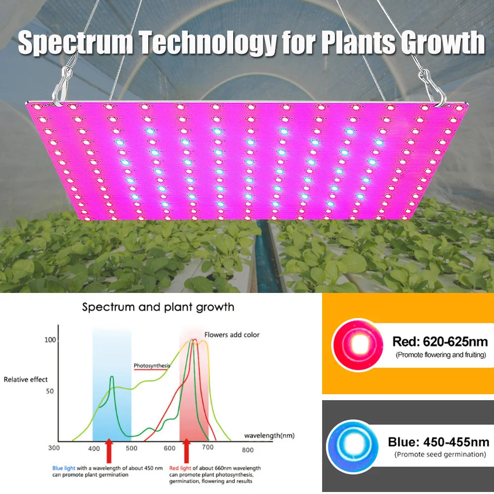 LED Grow-Light Panel, Small/Large Options