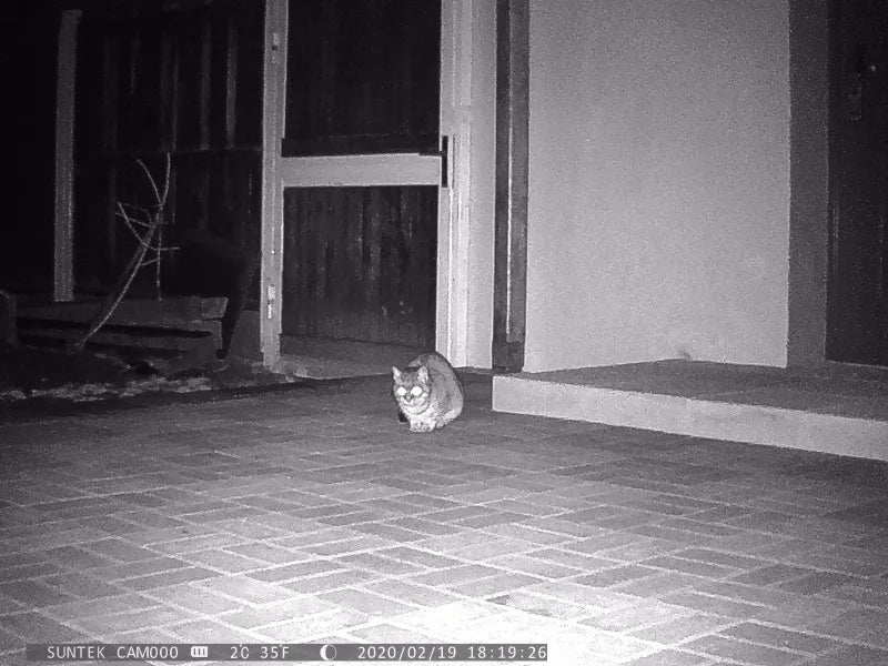 HC801A 20MP 1080P Trail Camera with Night Vision