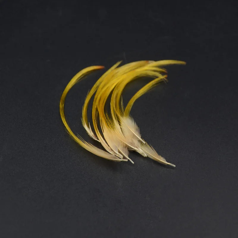 Golden Pheasant Crest Feathers, 50 Pack
