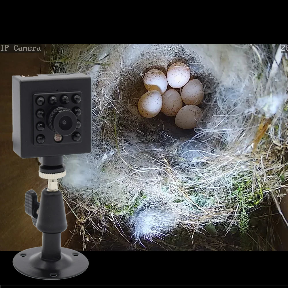 Bezdrátová kamera do ptačí budky s 8MP nočním viděním a zvukem