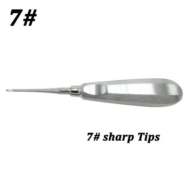 Stainless Steel Dental Elevators, 1 Piece