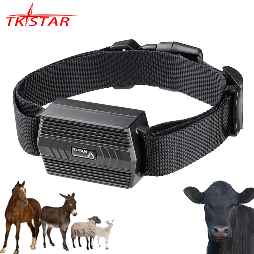 Car Tracker Animal Camel 2G GPS Tracker For Cow TK935 TKSTAR Camel GPS Locator Waterproof GPS Tracker Car Magnet Free Web APP