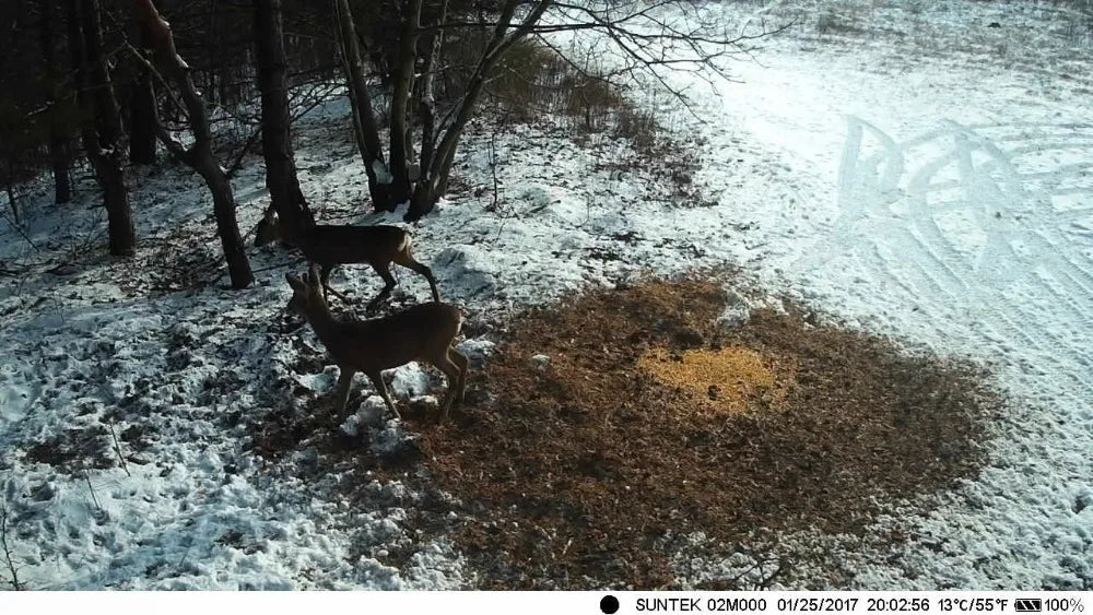 HC802A Wireless Trail Camera, 24MP Night Vision Wildlife Camera