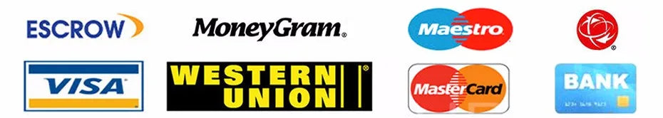 iScooter i9 Electric Scooter for Adults