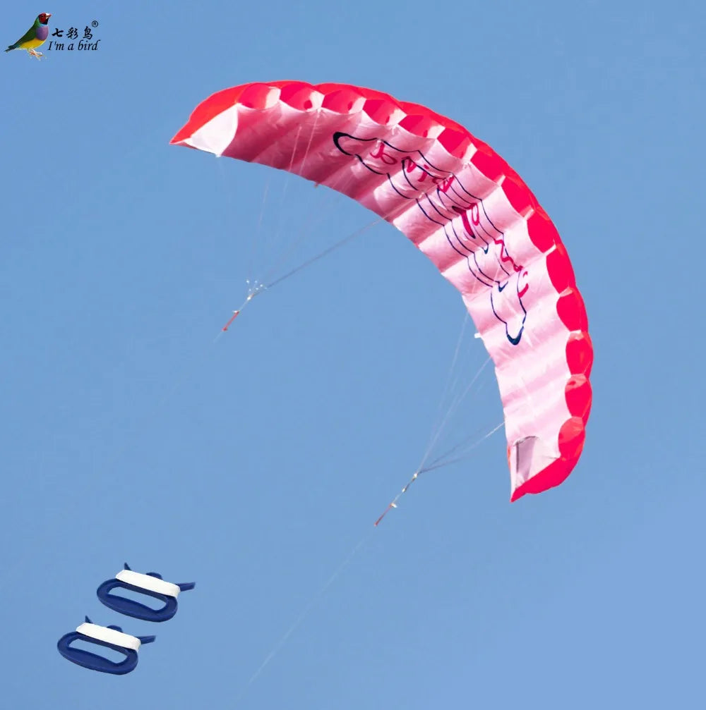 Διπλής γραμμής αερόβατο kite με λαβές