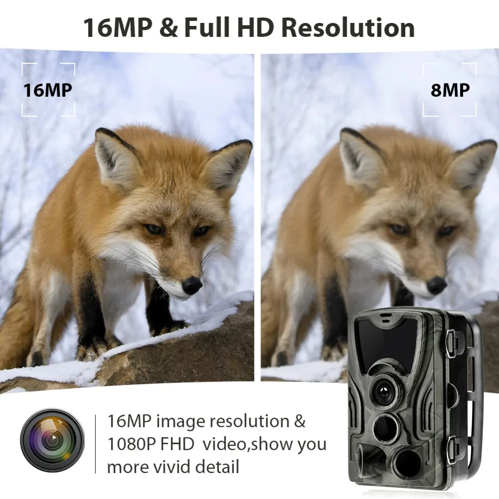 HC801A Wireless Trail Camera 20MP 1080P Night Vision